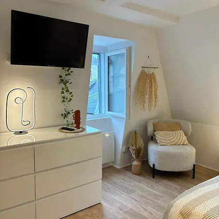 Chez Leo - Rue De La Scellerie 公寓 图尔