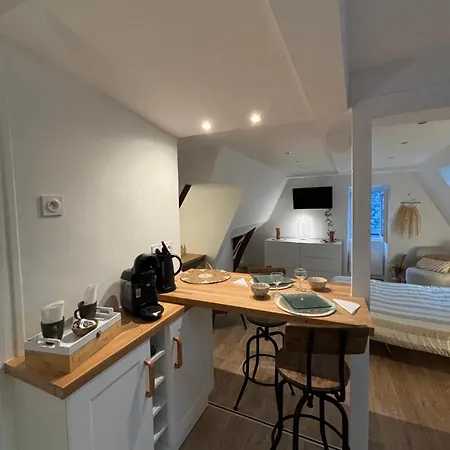 公寓 Chez Leo - Rue De La Scellerie 图尔